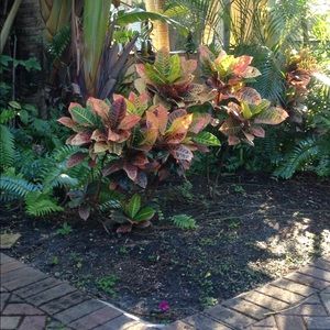 Meet your Posher, Hayden